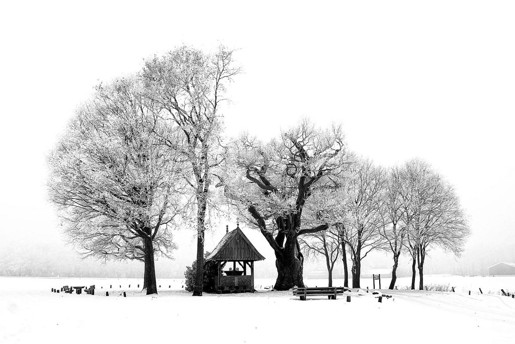 Kroezeboom in winterlandschap (Fleringen)