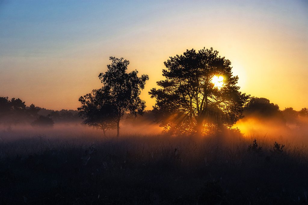 Zonsopkomst (Haaksbergerveen)
