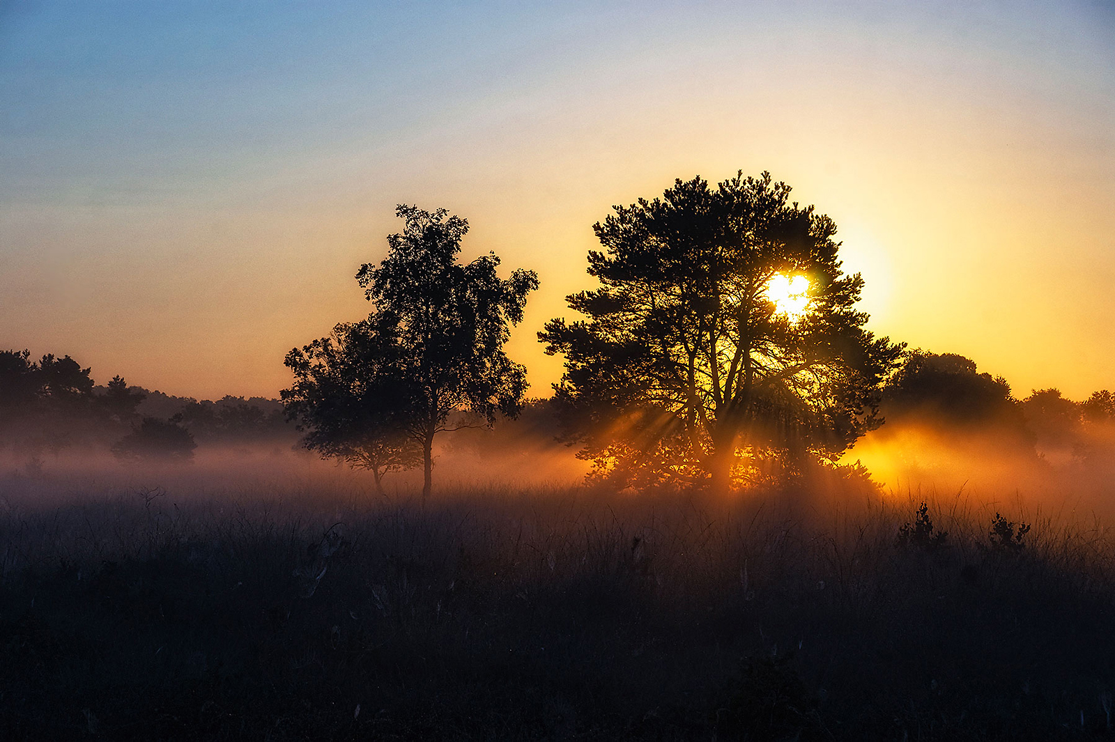 Zonsopkomst (Haaksbergerveen)